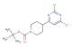tert-butyl 4-(2,6-dichloropyrimidin-4-yl)piperidine-1-carboxylate