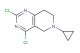 2,4-dichloro-6-cyclopropyl-5,6,7,8-tetrahydropyrido[4,3-d]pyrimidine