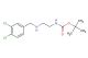 tert-butyl (2-((3,4-dichlorobenzyl)amino)ethyl)carbamate