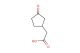 2-(3-oxocyclopentyl)acetic acid
