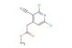 methyl 2-(2,6-dichloro-3-cyanopyridin-4-yl)acetate