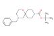 tert-butyl 4-benzyl-1-oxa-4,9-diazaspiro[5.5]undecane-9-carboxylate