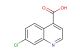 7-chloroquinoline-4-carboxylic acid