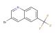 3-bromo-6-(trifluoromethyl)quinoline