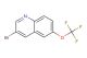 3-bromo-6-(trifluoromethoxy)quinoline