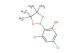 3,5-dichloro-2-(4,4,5,5-tetramethyl-1,3,2-dioxaborolan-2-yl)phenol