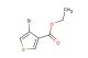 ethyl 4-bromothiophene-3-carboxylate
