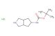 tert-butyl (octahydrocyclopenta[c]pyrrol-5-yl)carbamate hydrochloride