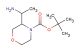 tert-butyl 3-(1-aminoethyl)morpholine-4-carboxylate
