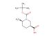 cis-1-(tert-butoxycarbonyl)-6-methylpiperidine-3-carboxylic acid