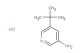 5-tert-butylpyridin-3-amine hydrochloride