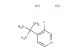 2-(3-fluoropyridin-4-yl)propan-2-amine dihydrochloride