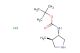 tert-butyl ((3S,4R)-4-methylpyrrolidin-3-yl)carbamate hydrochloride
