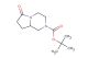 tert-butyl 6-oxo-hexahydropyrrolo[1,2-a]pyrazine-2(1H)-carboxylate