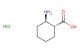trans-2-aminocyclohexanecarboxylic acid hydrochloride