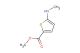 methyl 5-(methylamino)thiophene-2-carboxylate