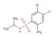5-bromo-4-chloro-N-isopropyl-2-methylbenzenesulfonamide