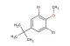 1,3-dibromo-5-(tert-butyl)-2-methoxybenzene