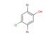 2,5-dibromo-4-chlorophenol