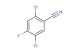 2,5-dichloro-4-fluorobenzonitrile