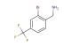 2-bromo-4-(trifluoromethyl)benzyl amine