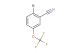 2-bromo-5-(trifluoromethoxy)benzonitrile
