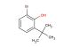 2-bromo-6-tert-butylphenol