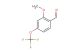 2-methoxy-4-(trifluoromethoxy)benzaldehyde