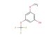 3-methoxy-5-(trifluoromethoxy)phenol