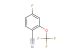 4-fluoro-2-(trifluoromethoxy)benzonitrile