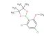 2-(2,4-dichloro-6-methoxyphenyl)-4,4,5,5-tetramethyl-1,3,2-dioxaborolane