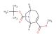 8-tert-butyl 2-methyl (1R,5S)-8-azabicyclo[3.2.1]oct-2-ene-2,8-dicarboxylate