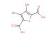 3,4-dihydroxythiophene-2,5-dicarboxylic acid
