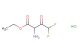 ethyl 2-amino-4,4-difluoro-3-oxobutanoate hydrochloride
