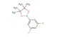 2-(3,5-difluorophenyl)-4,4,5,5-tetramethyl-1,3,2-dioxaborolane