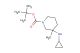 tert-Butyl 3-(cyclopropylamino)-3-methylpiperidine-1-carboxylate