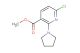 methyl 6-chloro-2-(pyrrolidin-1-yl)nicotinate
