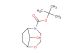 tert-butyl 9-hydroxy-2-oxa-5-azabicyclo[4.2.1]nonane-5-carboxylate