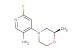 (R)-6-fluoro-4-(2-methylmorpholino)pyridin-3-amine