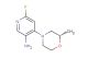 (S)-6-fluoro-4-(2-methylmorpholino)pyridin-3-amine
