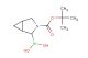 (3-(tert-butoxycarbonyl)-3-azabicyclo[3.1.0]hexan-2-yl)boronic acid