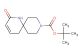 tert-butyl 2-oxo-1,9-diazaspiro[5.5]undec-3-ene-9-carboxylate
