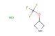 3-(trifluoromethoxy)azetidine hydrochloride