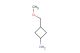 3-(methoxymethyl)cyclobutan-1-amine