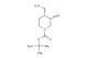 tert-butyl (3S,4R)-4-(aminomethyl)-3-hydroxypiperidine-1-carboxylate