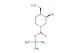 tert-butyl (3R,4S)-4-(aminomethyl)-3-hydroxypiperidine-1-carboxylate