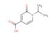 2-oxo-1-(propan-2-yl)-1,2-dihydropyridine-4-carboxylic acid