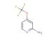 4-(trifluoromethoxy)pyridin-2-amine