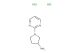 1-(pyrimidin-2-yl)pyrrolidin-3-amine dihydrochloride