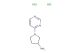 1-(pyrimidin-4-yl)pyrrolidin-3-amine dihydrochloride